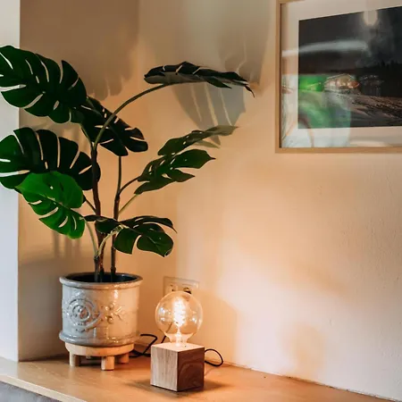 Barney * ラウリス