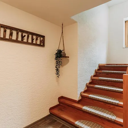 Barney * 라우리스