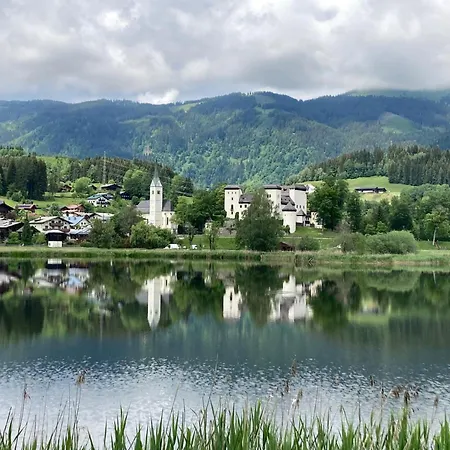 Barney 펜션 라우리스